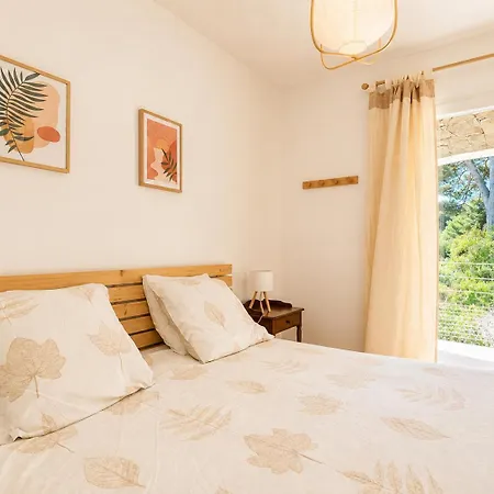 Apartment Grand T2 Clim & Wifi En Rez De Proche